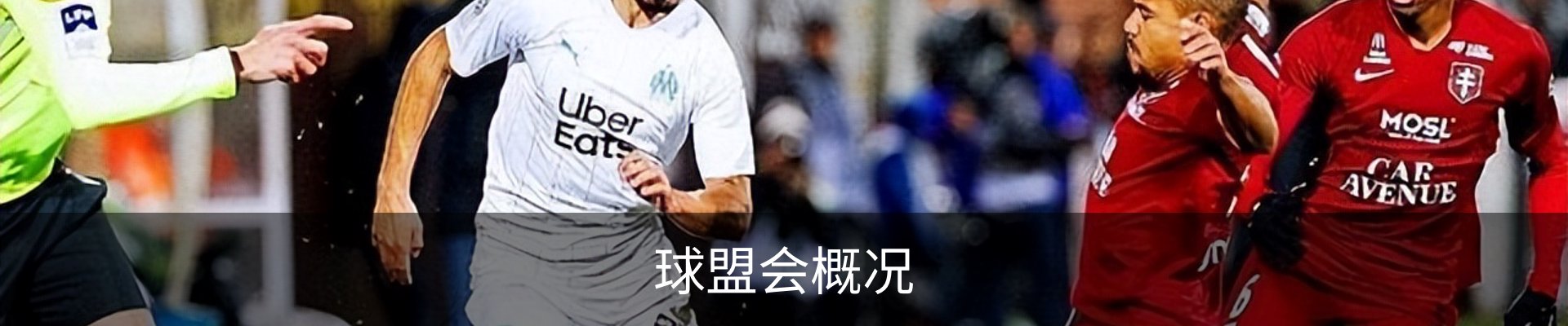 球盟会概况