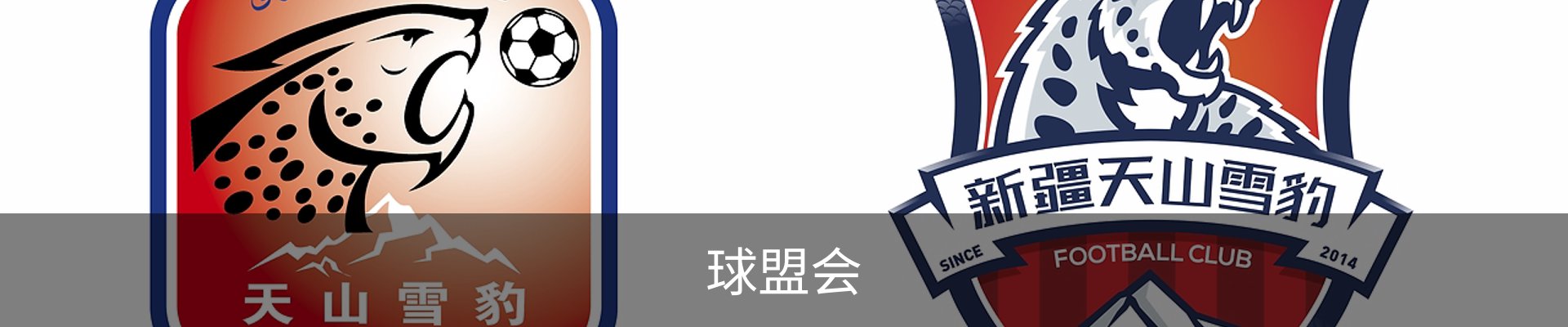 球盟会